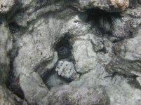 dscn0640.jpg