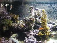 1000w2.jpg