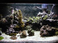 1000w3.jpg