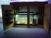 2002-07-08~sump.jpg