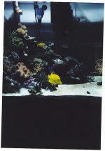 tank135.jpg