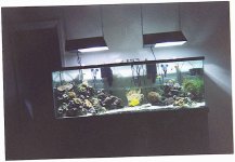 tank4.jpg