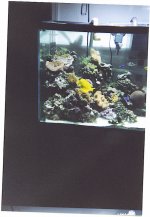 tank5.jpg
