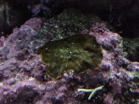 040213_alg1.jpg