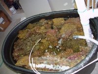 rock vat1 (custom).jpg