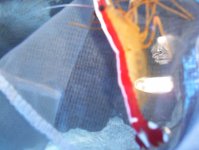 picture 024.jpg