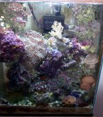 reefpic02.jpg