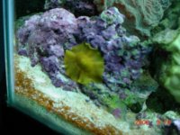 dsc00002-1.jpg