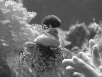 b&w justin eating agae.jpg