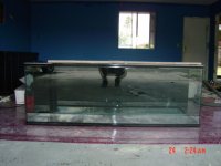 dsc00157.jpg