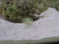 img_0403.jpg