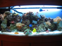 mini-jared car 010.jpg