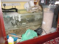left side sump.jpg