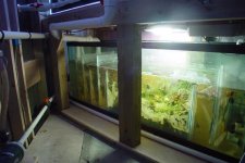 sump recent (custom).jpg