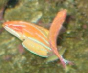 m+f-flashwrasse.jpg