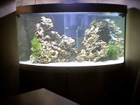 09.03.2003 tank.jpg