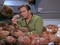 tribbles_015.jpg