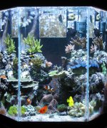080604bigger.jpg
