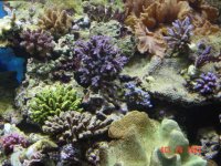 aqua 24-10 012.jpg