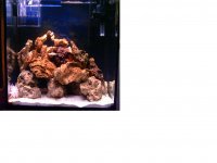 aquariums 2343245.jpg