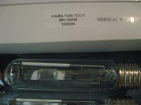 light 004.jpg