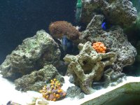 IMG_0160.jpg