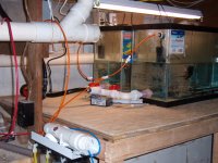 ro room and frags 027.JPG