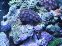 IMG_0607.jpg