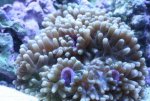 IMG_1541.JPG
