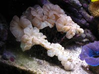 Picture 290 (Large).jpg