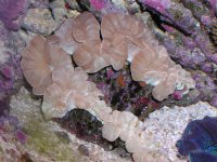 Picture 291 (Large).jpg