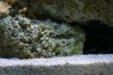 IMG_0654.jpg