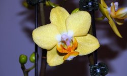 20080430_1324 copy.jpg