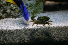 IMG_0675.jpg