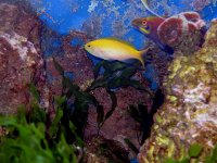 IMG_0932.jpg