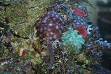 December 23 040 small.jpg