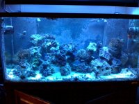 Tank June 13.jpg