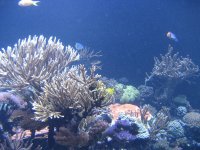 IMG_0959.jpg