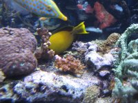 IMG_0993.jpg