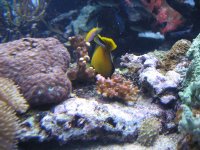 IMG_0999.jpg