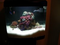 aquapod2.JPG