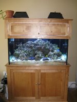Fish Tank 012.jpg