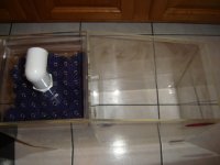 WetDry Filter 004.JPG