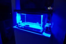 Picture pics 2007 063.jpg