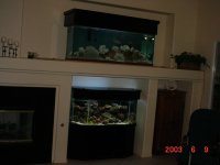 dsc02475.jpg