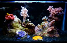 living room side tank 03-04.jpg