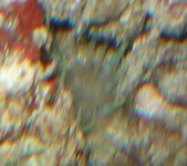 untitled2.jpg