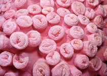 pink tubastrea 640x.jpg