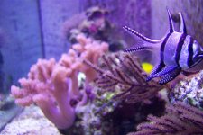 cool shot (small).jpg