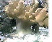 pic2.jpg